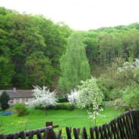 Die Malche7