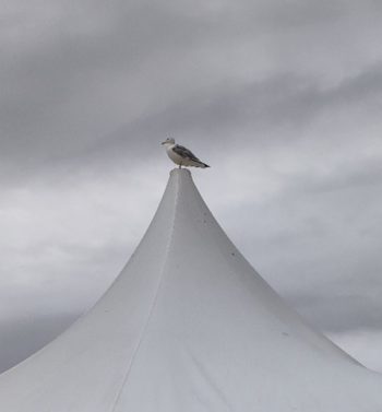 Präventionskurs sanft begegnet