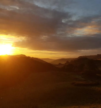 Kraft und Augeglichenheit